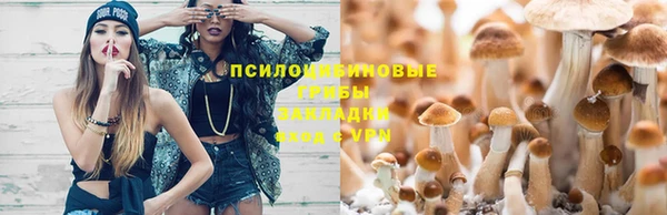 мяу мяу мука Абинск