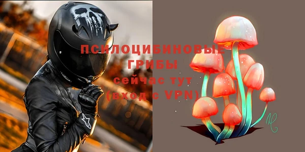 соль ск Абдулино