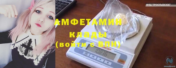 сатива Абаза