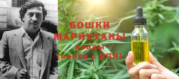 гидропоника Пересвет