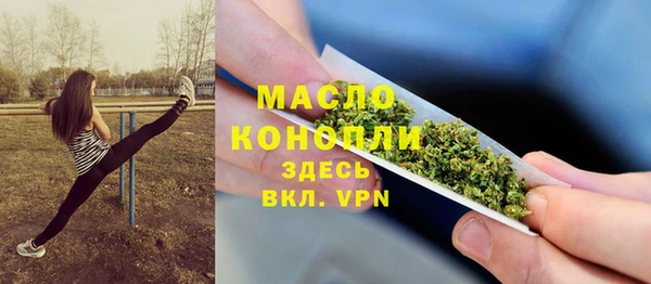 сатива Абаза