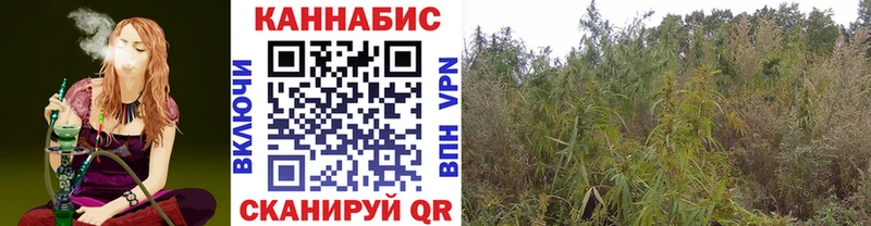Канабис гибрид Инза